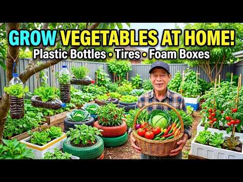 No Need for Much Space , Grow Vegetables at Home with This Simple & Productive Method