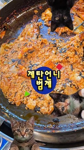 #맛집 #맛집소개유투버 #범계역 #범계맛집 #닭갈비맛집 계탄언니 범계역점