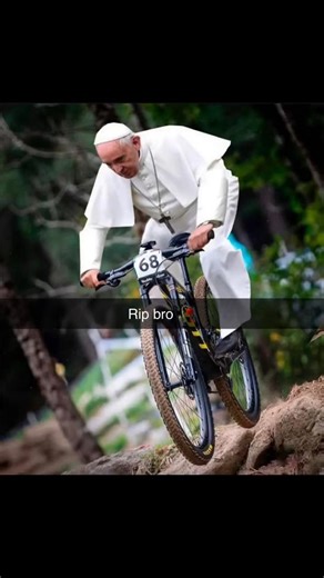 Bird balls on Instagram: "Follow @testical_bird or else… #fyp #reels #explore"