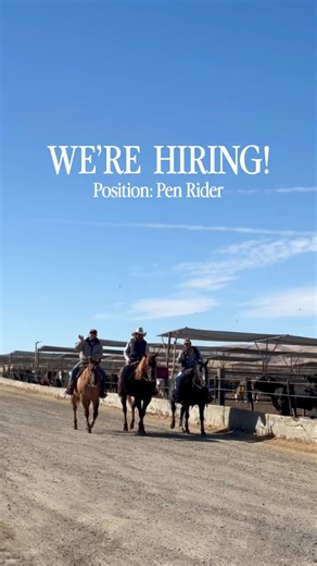 574K views · 4.3K reactions | Saddle up, we’re hiring pen riders!If you love working with cattle, spending your days in the saddle, and being part of a team that values animal care and hard work, we want to hear from you. Join us at the feedlot and ride for a purpose every day. Apply now and let’s ride! —> www.harrisranchbeef.com #coalinga #hiringnow #anguscattle #feedlot #cowboylife | Harris Ranch Beef | Facebook