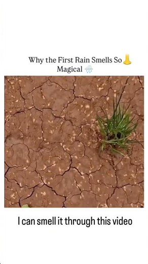 That first rain scent hits different 🌧️✨