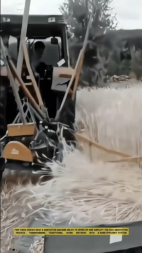 How the Hay Rake Machine Works to Collect Straw