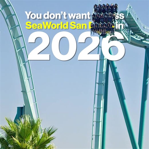 You don't want to miss SeaWorld San Diego in 2026! | SeaWorld San Diego