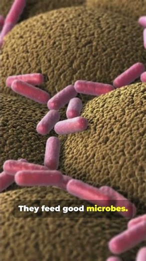 Fix Your Gut, Fix Your Brain - In 1 Minute!