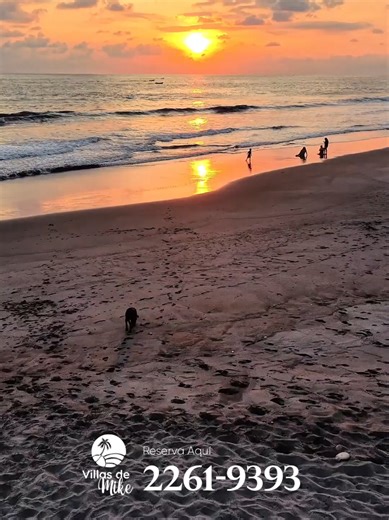 Alquiler de Rancho en Playa San Diego, La Libertad, a 15 minutos de Sunset Park🎡Rancho de segunda fila, con cascada y luz led.✨️ Barbacoa 6 habitaciones con aire acondicionado 📲Reserva al 2261-9393 📍Playa San Diego, La Libertad #usa🇺🇸 #elsalvador #sandiegolalibertad #viralvideo #paratiiiiiiiiiiiiiiiiiiiiiiiiiiiiiii