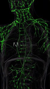 Lymph Nodes Video in Vertical | Lymph Nodes Animation Conceptual Video | Lymph Nodes indication Animation vertical video