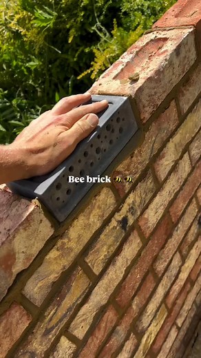 Engineering Life on Instagram: "A bee brick is a type of eco-friendly building material designed to provide nesting sites for solitary bees, such as mason bees and leafcutter bees. Key Features: 🧱 Shape & Size: Looks like a standard concrete brick, but with small holes or cavities molded into it. 🐝 Purpose: These holes mimic natural habitats like hollow stems or burrows, where solitary bees lay their eggs. 🌿 Material: Usually made from concrete or clay, and often used in walls, gardens, or la