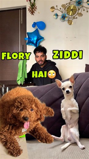 Flory Ko Orry Ke Sath Nahi, Mere Sath Khelna Hai😅🧸 #shorts #youtube #trending