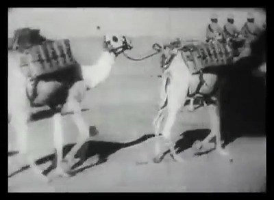 The Egyptian Camel Corps patrolling near Khartoum, c1900 In 1884 a British Camel Corps was formed for the Gordon Relief Expedition to the Sudan. In 1915 the Camel Brigade (later the Imperial Camel Corps), made up of British, Indian, Australian and New Zealand troops, was raised for action in the Middle East. Despite their advantages in desert warfare, camels are often difficult to handle, with bad breath and a tendency to bite. National Army Museum | British & Commonwealth Forces