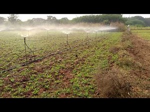 Butterfly Sprinkler irrigation