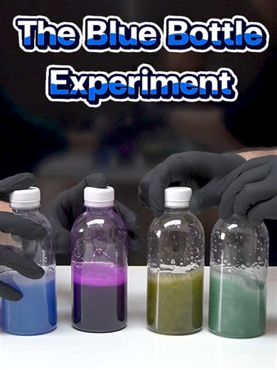 The Fascinating Blue Bottle Experiment Explained