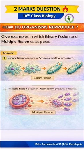 Binary fission || Multiple fission || Asexual reproduction || 10th class Biology