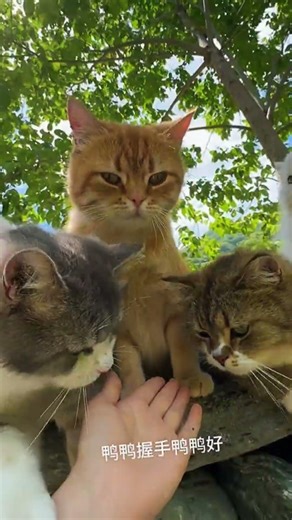 Wishing you bright smiles