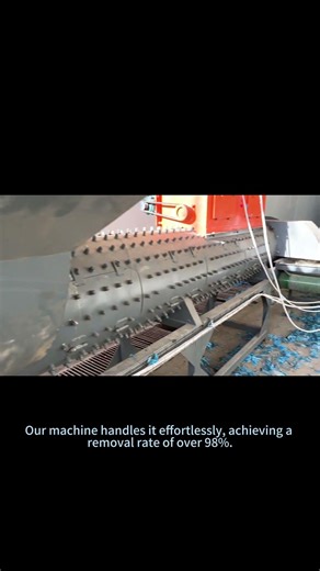 Label Removal: 98% Automated + 2% Manual Check = 100% Clean PET ♻️