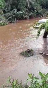 That’s why you buy a Toyota Hilux 😅 | Bakkies.co.za