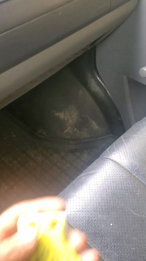 Exploring the Significance of Vehicle Tags and Labels