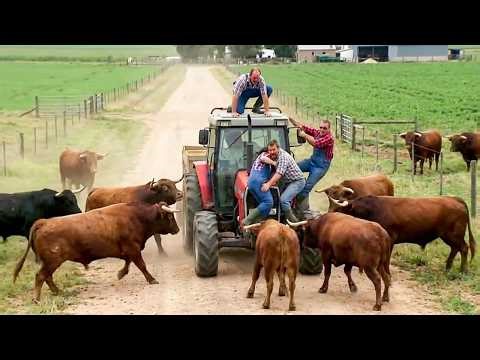 Best Farm Life Fails 🚜🐄 Farm Animal & Tractor Fails