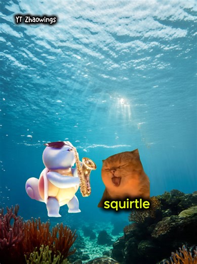 Discover the Fun World of Pokémon and Cute Cats