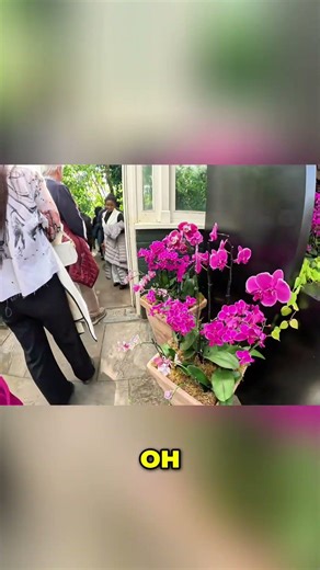 Orchid Exhibit Crowds: Cool or Chaotic? You Decide! #shorts