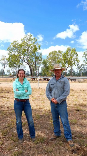 7.4K views · 90 reactions | When you deal with Golden Triangle, you're talking to a team that lives and breathes the Emerald region. We don't just process loans, we understand your ground, your market and your goals. Get personalised financial advice that genuinely supports your rural success.  | Golden Triangle Group | Facebook