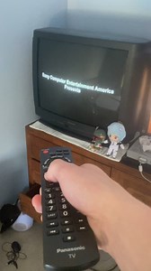 I found this really cool. My newer Panasonic remote works with the old Panasonic.