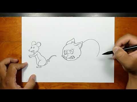 How to draw CAT CHASE MOUSE step by step