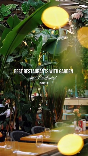 Best Restaurants with a Garden in Bucharest🌿🍃💚 Looking for the best restaurants with a garden in Bucharest? As soon as warm weather settles in, Bucharest locals and visitors alike start looking for outdoor spaces to relax, dine, and unwind. From lush green courtyards to rooftops with panoramic views, the city offers dozens of charming terraces where food and atmosphere blend seamlessly. 1. Sera Eden – A Greenhouse Turned Garden Restaurant 2. Hanu’ lui Manuc – A Taste of Tradition in a Courtya