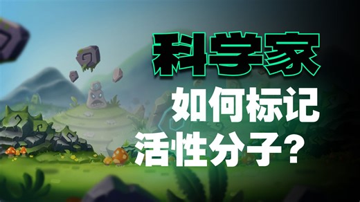 新维创科普┃拉帕替尼-CY3 追踪小分子的细胞旅程