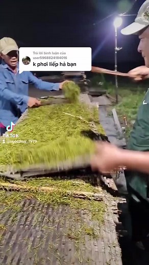 Harvesting Moss: Techniques and Process Explained