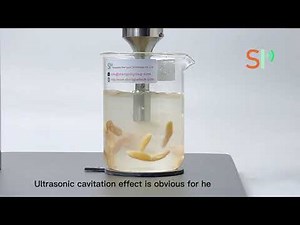 Herbs extraction via ultrasonic cavitation