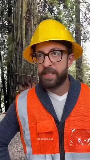 Cutting Trees Like a Pro | Adam fanssss