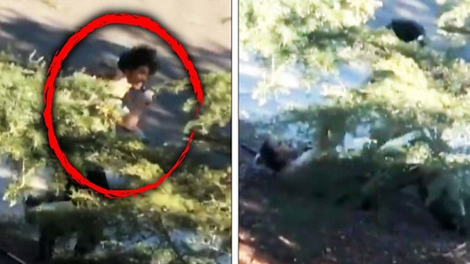 Cop Attacked by Man Who Grabbed Her Gun Stunned He's Found Not Guilty