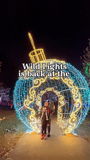 ✨🌟 Wild Lights at the @detroitzoo is BACK! If you’re looking for a magical holiday experience that’s truly worth the drive, this is it! The zoo transforms into a sparkling winter wonderland with millions of LED lights, giant sculptures, and immersive displays your whole family will LOVE. ❤️🦒 ✨ Highlights you don’t want to miss: 🎄 Over one million twinkling lights across the zoo 🦁 Larger-than-life animal displays & holiday scenes 🌟 Interactive light tunnels glowing pathways ❄️ Festive snacks