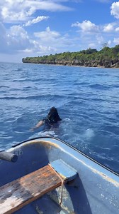 317K views · 10K reactions | Anhuwoye Bekeyaful nema Ghost accounts  Handsome Gudo | Mama Vee | Facebook