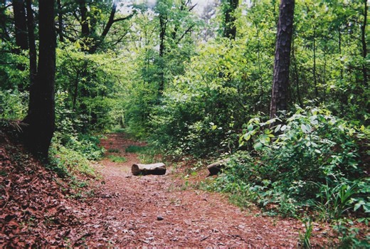NPS seeks public input on cleanups at former Mississippi firing ranges