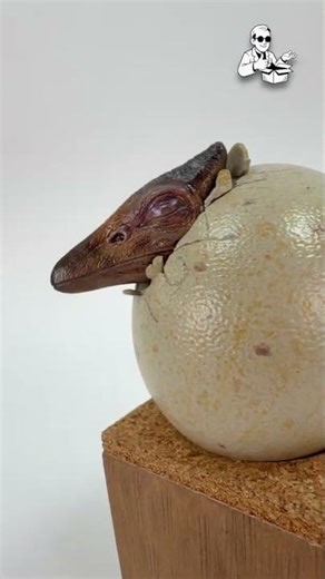 A Baby Pterosaur Is Hatching?! 🦖