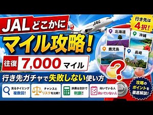 JALどこかにマイル攻略！7000マイルの行き先ガチャで失敗しない使い方