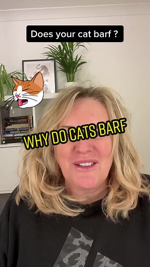 Understanding Why Your Cat Frequently Barfs