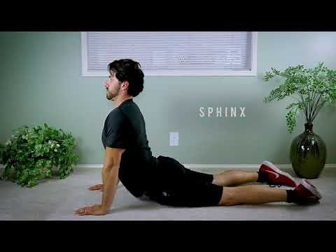 How to do a Sphinx Pose - Stretch Tutorial