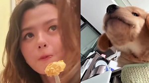 31K views · 1.6K reactions | Freen status: has her own cute puppy 凉殺 PINANIL THE ROYAL WEDDING #ปิ่นภักดิ์EP17 #beckysangels | Freenbecky Official - Becky Sarocha | Facebook