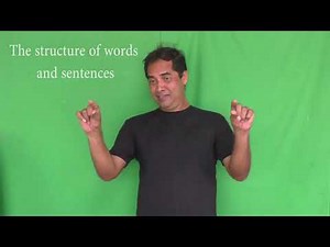 L-1 : Sign language as a complete language