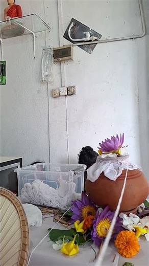 9 October 2025 pirith chanting