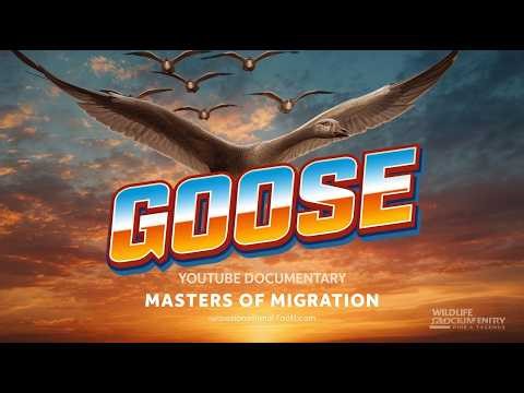 Goose: The Strategic Migrator That Masters Land, Water, and Sky