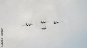 Military jets Squadron aerobatic team
