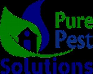 Bed Bug Heat Treatment Pest Control | Pure Pest Solutions