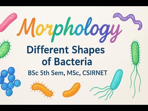 Bacteria - Morphology and Different Types #5th Sem Bsc #Msc #Bacteria #gate #CSIRNET#Microbiology