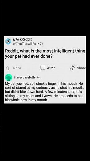 cats really understand you | Subscribe for more #motivation 😊👍