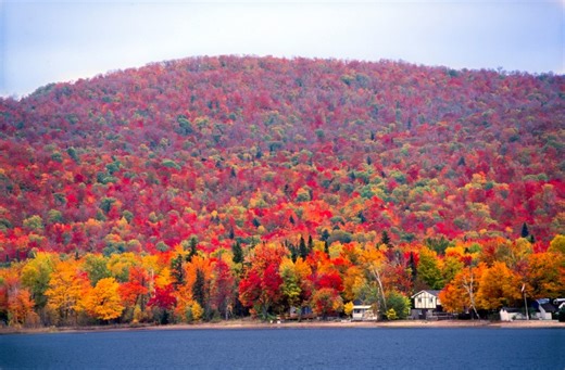 Why do leaves change color in the fall?