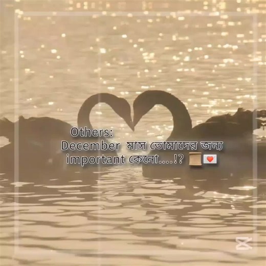 Inspirational Memes Collection by Janu