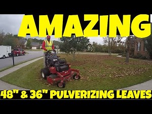 Blades of Grass Lawn Care | Mulching leaves | Exmark Vantage Stand on Lawn Mowers | Savannah GA